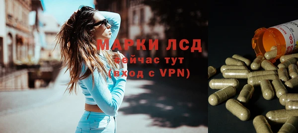 PSILOCYBIN Бородино