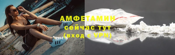 шишки Белоозёрский
