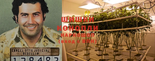не бодяженный Богданович