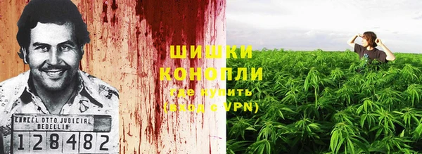 PSILOCYBIN Бородино
