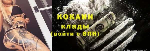 2c-b Богородицк