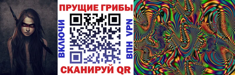 Псилоцибиновые грибы MAGIC MUSHROOMS  Качканар 